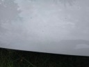 AUDI A8 D4 КАПОТ КРИШКА ДВИГУНА LY9C  (17839073128) фото min 13