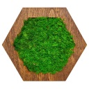 Настенное панно с натуральным мхом