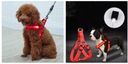Svietiace postroj pre psa mačka LED postroje Červená S Veľkosť S