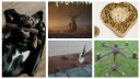 Резная доска под трофейный череп скимитарного бакса