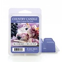 Ароматическая восковая свеча Blueberry Cream Pop Country Candle