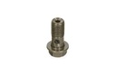 Śruba przewodu hamulcowego hamulca oczko M10x1.25 mm na 1 przewód