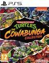 Черепашки-ниндзя The Cowabunga PS5