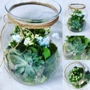 Лес в банке, лес в стеклянном каланхоэ с суккулентом