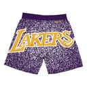 Баскетбольные шорты Mitchell Ness NBA LA Lakers