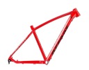 ACCENT MTB 29