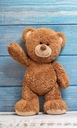 ПОЛОТЕНЦЕ ДЕТСКОЕ ДЛЯ ДЕТСКОГО САДА TEDDY BEAR 30х50