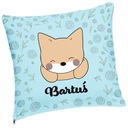 ПОДУШКА С ИМЕНЕМ ПОДУШКА ДЛЯ РЕБЕНКА ПОДАРОЧНАЯ ПОДУШКА ДЛЯ ДЕТСКОГО САДА