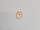 CAPOT AVANT VW LT II 96-06 BLANCphoto 12