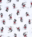 Biele tričko, tričko Mickey Mouse DISNEY XXS Dominujúci vzor iný vzor