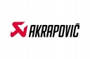 AKRAPOVIC SILENCIEUX KAWASAKI AVEC 650 ABS 2017-2020 S-K6R12-HEGEHT MOTOCYCLETTEphoto 7