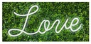 LED LOVE INSTRUCTION, неоновая подсветка, 73x33см