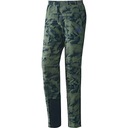 Женские брюки ADIDAS TERREX