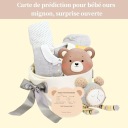 12 КАРТОК ПРОГНОЗІВ НА BABY SHOWER З ВЕДМЕДИКОМ GENDER REVEAL замовити