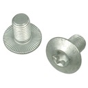 Винт M10x16 Trioliet Mullos 84942