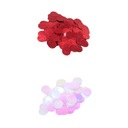 Швейное ремесло Свободные блестки Швейные блестки