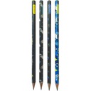 4 ТРЕУГОЛЬНЫХ КАРАНДАША ASTRA HB Play