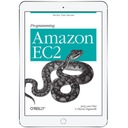Программирование Amazon EC2. Пережить свой успех