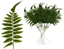 12X ИСКУССТВЕННЫЕ ЛИСТЬЯ ПАПОРОТНИК 37 СМ ИСКУССТВЕННЫЕ ЦВЕТЫ
