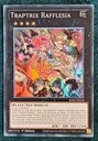 Ю-Ги-О! Траптрикс Раффлезия (SR)