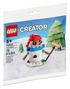 LEGO CREATOR СНЕГОВИК 30645 ПОЛИМЕШОК