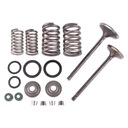 клапан ВПУСКНЫЕ ВЫПУСКНЫЕ КЛАПАНЫ ATV 250 CG Loncin