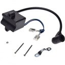 КОМПЛЕКТ МОДУЛЕЙ КАТУШКИ ЗАЖИГАНИЯ, двигатель велосипеда 50cc 2T