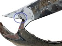 OPEL INSIGNIA B 2018 GRILLE LOWER BUMPERS FRONT  photo 8