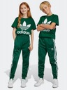 Детские брюки ADIDAS ADICOLOR TRACK PANTS