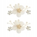 1 пара зажимов для обуви. Украшения для обуви.