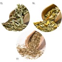 Yerba Mate BEST FOR STARTERS 20x50г ТОЛЬКО ФРУКТЫ