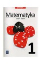 Рабочая тетрадь Gim WSiP по математике 1 класс