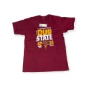 Мужская футболка ARIZONA STATE FANATICS M