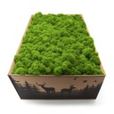 Финский мох нетто 4кг.