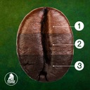 CASCARA 1 кг КОСТА-РИКА HACIENDA сушеные кофейные ягоды