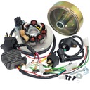 Модуль бесконтактной электронной катушки зажигания Cdi 12 В WSK 175 SHL M17 Газель