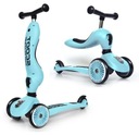 SCOOTANDRIDE HIGHWAYKICK 1 СКУТЕР 2в1 RIDE 12M+ / BLUEBERRY
