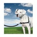 Postroj pre zvieratá PetSafe Easy Walk Black Media Kód výrobcu C5066237