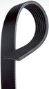 BELT MULTI-RIBBED 7PK1815 photo 3 - milautoparts-fr.ukrlive.com