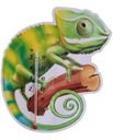 Детский термометр Cameleon