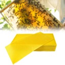 30 kusov Žlté obliečky z včelieho vosku, včelárske základové obliečky Včelí vosk Povrch iné
