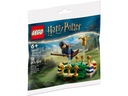 LEGO 30651 - Гарри Поттер - Тренировка по квиддичу
