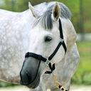 МАСКА ДЛЯ ЛОШАДЕЙ ПРОТИВ НАСЕКОМЫХ И МУХ НА НОСЕ ПОЛНАЯ