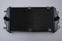 РАДІАТОР ТИП POCHODZEN HARLEY DAVIDSON XG500 STREET 2015 - 2020  (18117542949) фото min 6