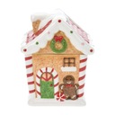 КОНТЕЙНЕР ДЛЯ ПРИГОТОВЛЕНИЯ Рождественских пряников С КРЫШКОЙ НА ВЫХОДКЕ ДЛЯ ДОМА