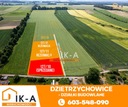 Działka, Dzietrzychowice, 1400 m² Cena za m² 65 zł