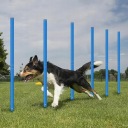 Координаційні Сходи Bedee