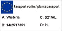 Biely glycín - č. 1618 Latinský názov wisteria sinensis