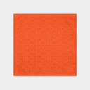 PAKO LORENTE оранжевый нагрудный платок с цветами