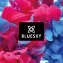 Палетки для макіяжу та набори Bluesky — фото 6